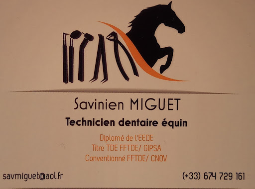 Dentiste équin Savinien MIGUET - Thumbnail