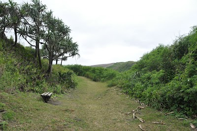 Photos of Sigatoka Sand Dunes