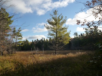 Photos of Redwyn Dunes Nature Sanctuary