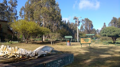 Photos of El Yal&iacute; Natural Reserve