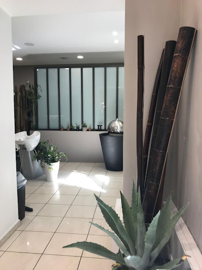 Salon Lisa NK