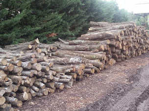 Photo n°2 de BOSVET - AU CLAIR DU BOIS à Pierrelatte (Magasin de bois de chauffage)