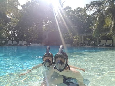 Photos of Pool bar