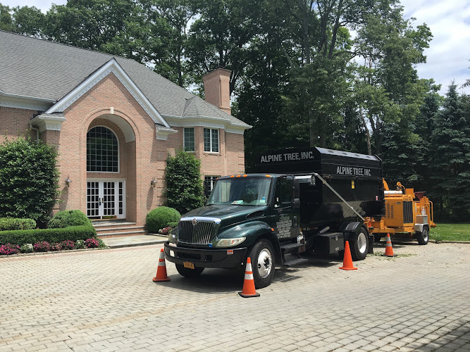 Alpine Tree Service Inc
