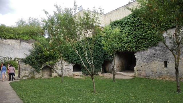 "Le Mystère des Faluns" - Les Perrières