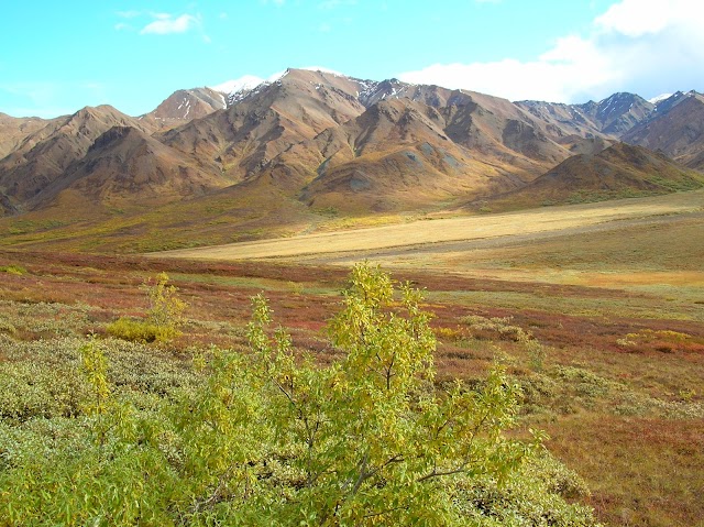 Denali National Park and Preserve