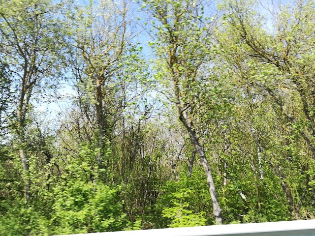 Forêt Domaniale d'Halatte