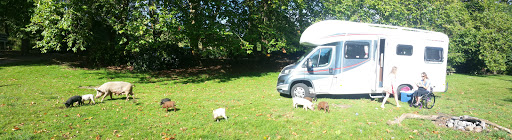 Discover NZ Motorhome Rentals - Thumbnail