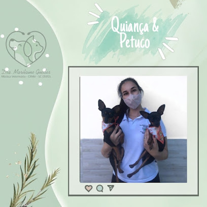 Dra.marilaine veterinária a domicílio em palhoça