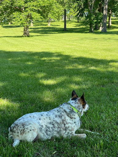 Frick Park - Visual