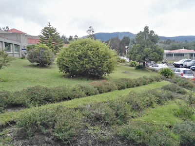 Photos of Corponari&ntilde;o