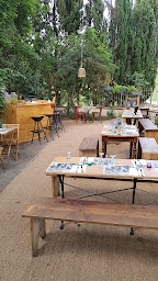 Photo n°1 de Le Gros Arbre à Toulouse (Restaurant)