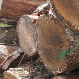 Photo n°22 de VMV Bois à La Ferté-Saint-Aubin (Magasin de bois de chauffage)