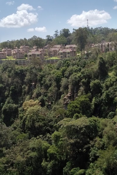 Photos of Thomson Falls Resort