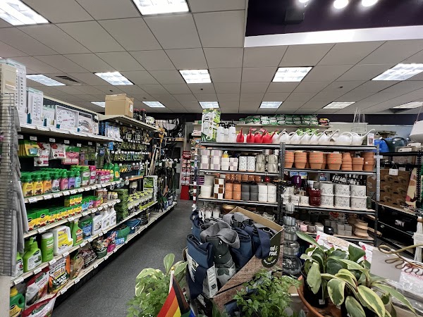 Economy True Value Hardware + Homeware photo 1