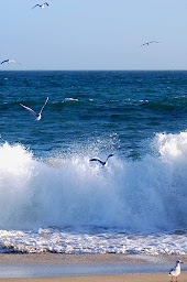 Photo n°16 de Gîte du Len Zen à Plougoumelen (Lodge)