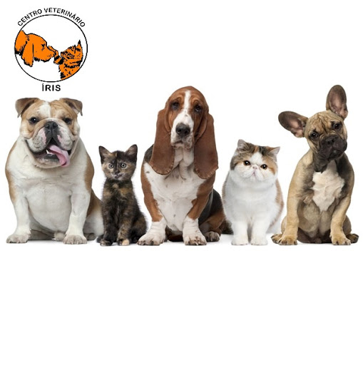 Centro veterinário Íris - Thumbnail
