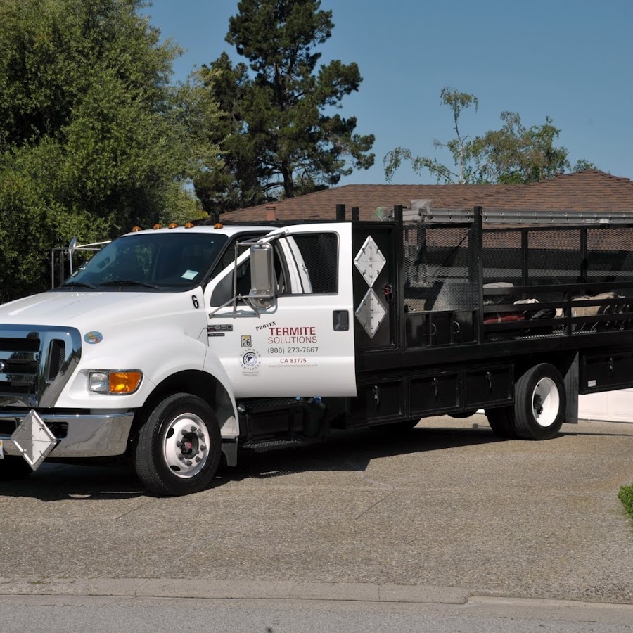 Proven Termite Solutions