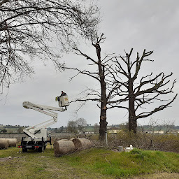 Photo n°12 de Pallaro Guy à Sainte-Terre (Paysagiste)