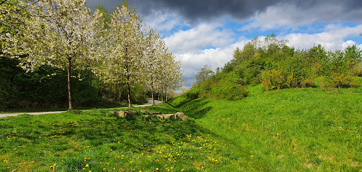 Halde General Blumenthal I/II/VI - Thumbnail