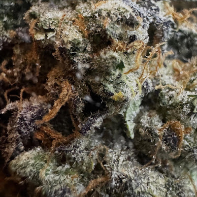 Photo of Good Times Dispensary