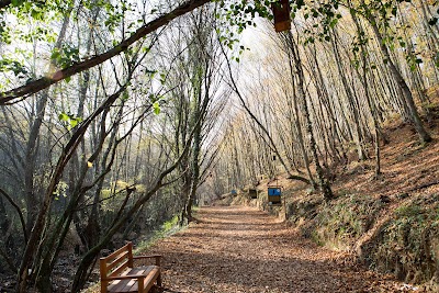 Polonezköy Nature Park