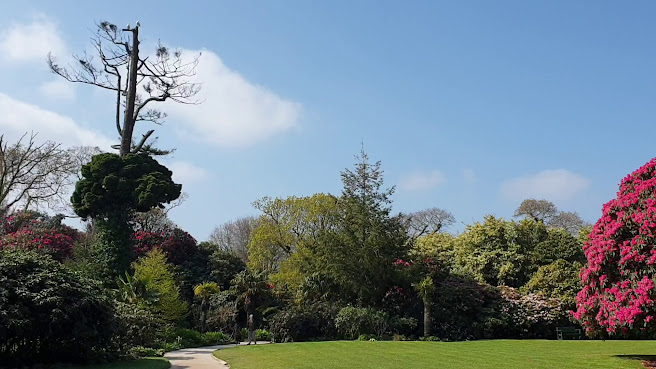 The Lost Gardens of Heligan by null