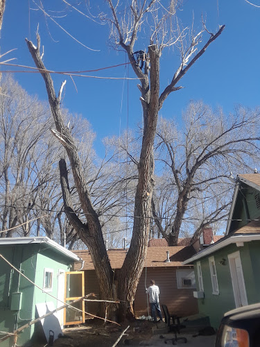 Arbor 1 Tree & Shrub Service,LLC