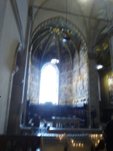 Pavimental Spa - Visual