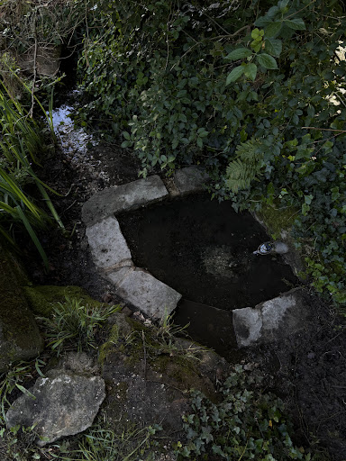 Jardins du Coquillon - Thumbnail