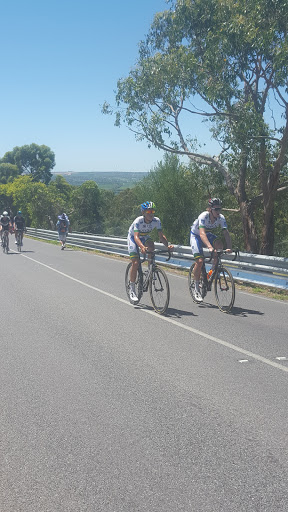 Worn in Willunga