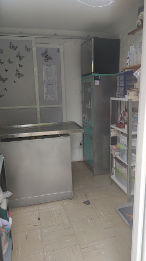 Consultorio Veterinario -Animal Pets - Thumbnail