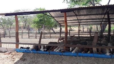 Photos of La Nevera