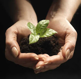 Photo n°5 de J.J. Darboven France à Issenheim (Grossiste)