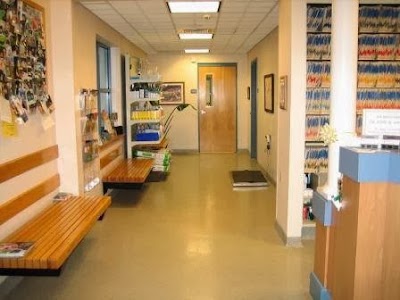veterinary-care