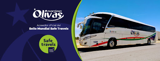 EXCURSIONES OLIVAS - Visual