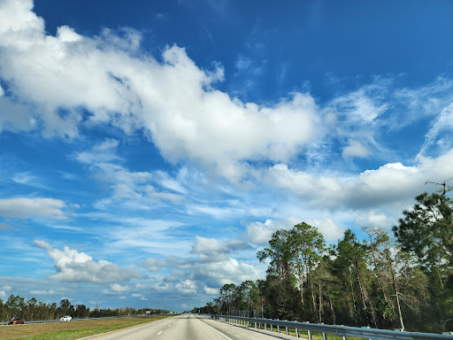 Picayune Strand State Forest
