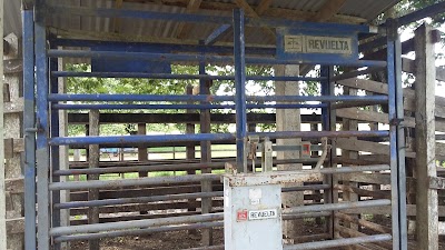 Photos of b&aacute;scula local, de pesaje y comercio de ganado vacuno