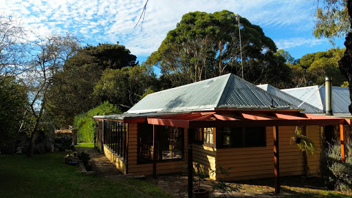 Secluded Homestead Amongst the Trees