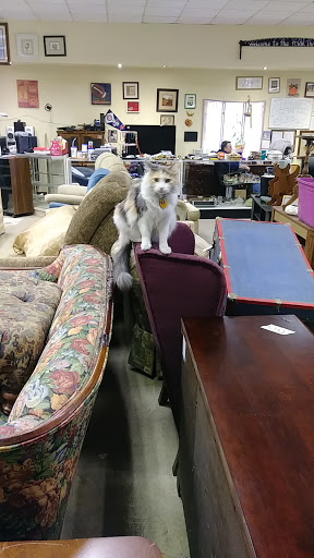 HOW Thrift Store - Thumbnail