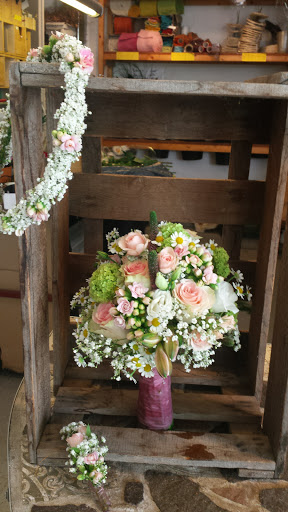 Galerie ....Blume sucht Vase.