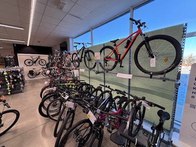 Декатлон - Плевен