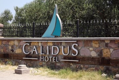 Calidus Hotel