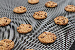 Photo n°4 de La Bridoire Belts à La Bridoire (Fournisseur de machines pour l'industrie agroalimentaire)
