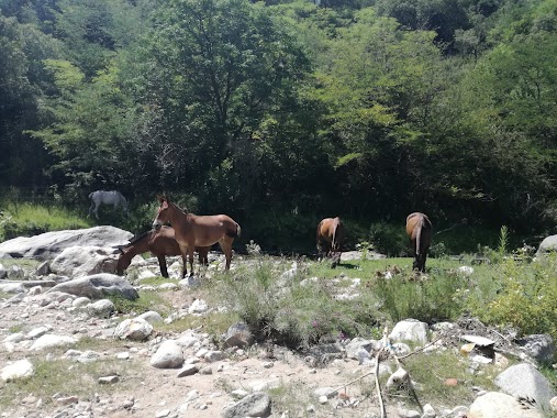 Camping Peñon Del Indio Enamorado, Author: Ingrid Pereyra Sabato