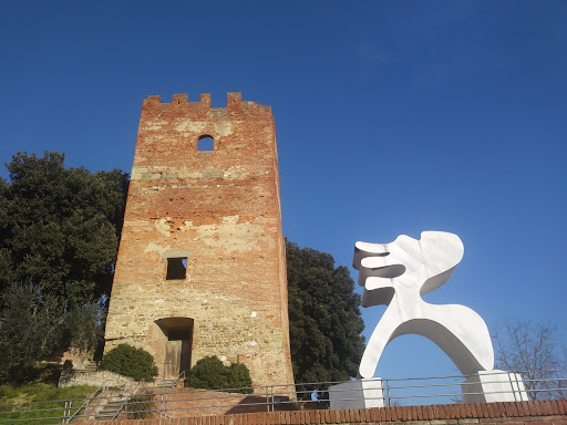 Fucecchio - Visual
