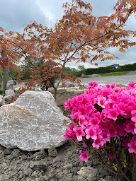 Photo n°5 de Koï Ikigaï à Spycker (Magasin)