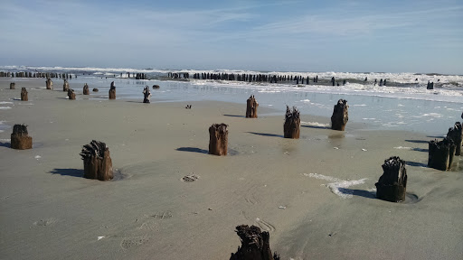 North Brigantine Natural Area