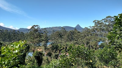 Photos of Bunyan Estate