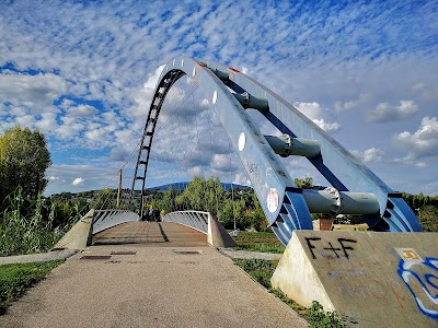 Hoffman Park Arena